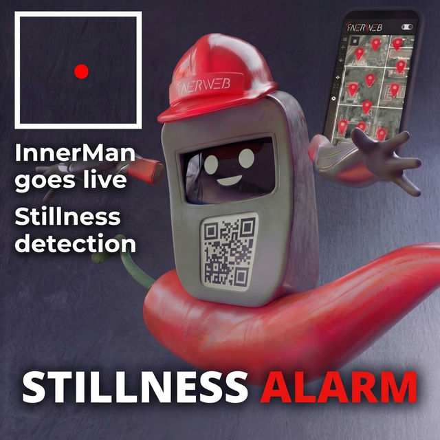 InnerMan + InnerWeb — deep dive into mobile permits